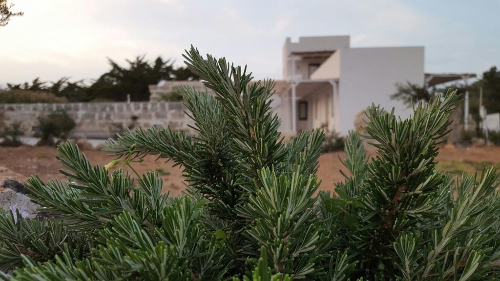 Casa Vacanze Senia Del Rais Favignana Exterior foto
